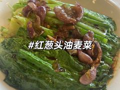 -百利鸽王(紫薇路店)