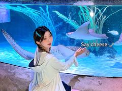 -沈阳海洋探索中心