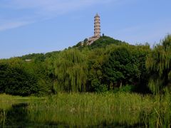 -北坞公园