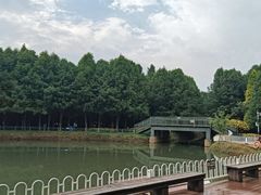 -捞渔河湿地公园
