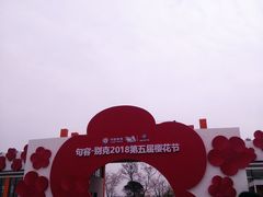 -天王浮山樱花园