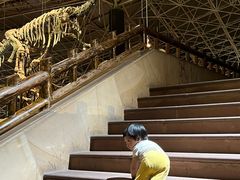 -世界恐龙谷景区