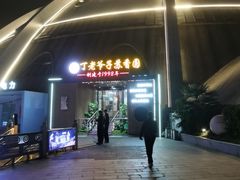 -丁老爷子苏香圆