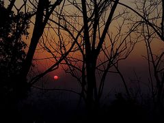 -杭州半山国家森林公园