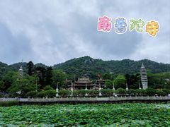 -南普陀寺