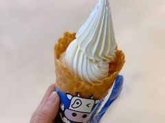 原味牛乳冰淇淋-波比艾斯(国金街店)
