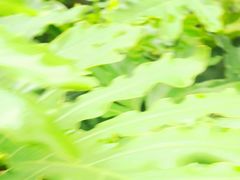 -濮园 · 四合院餐厅