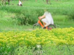 -野鸭湖国家湿地公园
