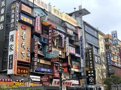 -黑色经典臭豆腐·湖南特产(步行街店)