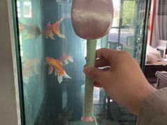 -盒马鲜生(丁香国际店)