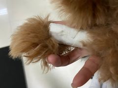 -康旭宠物医院(郑州总院)