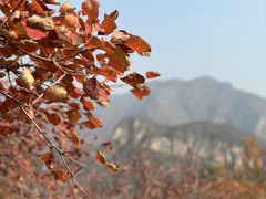 -周口店坡峰岭风景区