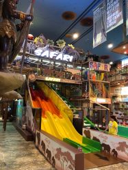 -卡通尼·Safari非洲探索乐园·生日会(金桥国际商业广场店)