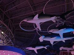 -烟台海昌鲸鲨海洋公园