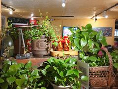 -可可大虾武汉土菜大排档(万松园1店)