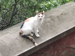 -天津盘山风景名胜区