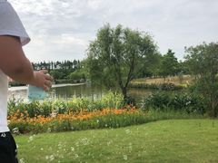 -上海长兴岛郊野公园