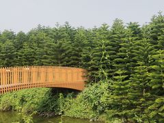 -迪茵湖田家舍生态农场