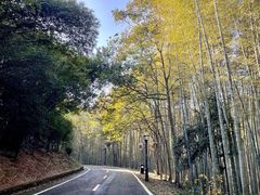 -咸宁万豪温泉谷度假区