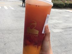 多肉红芒果果-LELECHA乐乐茶(美罗城店)