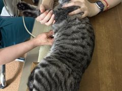 -宠颐生中康贝怡动物医院