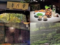 -野蔓果·山野菜(西湖景区·龙井茶田店)