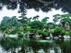 -罗红摄影艺术馆