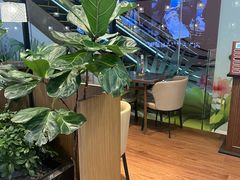 -THE WOODS 简餐 (国贸商城店)