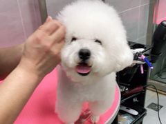 -宠福鑫康馨动物医院·骨科·眼科