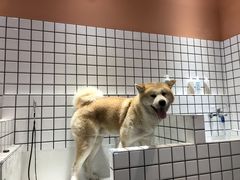 -熊小胖宠物生活馆(天华园店)