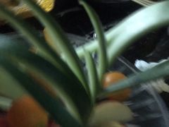 -星汇纯K量贩式KTV(卜蜂中心店)