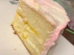 -维尔纳斯·生日蛋糕动物奶油冰淇淋蛋糕(人大店)