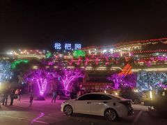 -枇杷园食为鲜火锅(南山店)