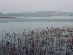 景点-南海子公园