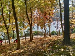 -穹窿山景区