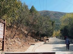 -北京十三陵国家森林公园蟒山景区