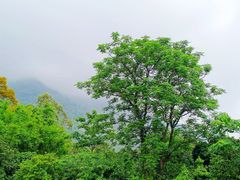-叱石风景区