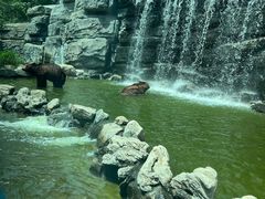 -北京野生动物园