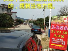 -从化深英荔枝黄皮龙眼采摘园