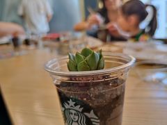 -星巴克臻选(北京蓝色港湾RO店)