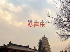 -大唐博相府酒店·陕西官府菜