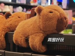 -酷乐潮玩(长楹龙湖天街店)