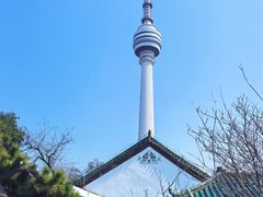 -龟山风景区-龟山电视塔