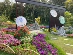 -上海共青森林公园