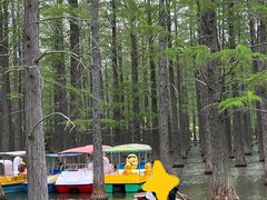 -渌洋湖湿地公园