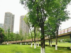-府河摄影公园