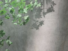 -铜锣湾国际购物中心