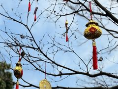 -钱王祠