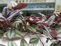 -江南大学附属医院(北院区)