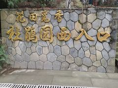 -铁山坪森林公园